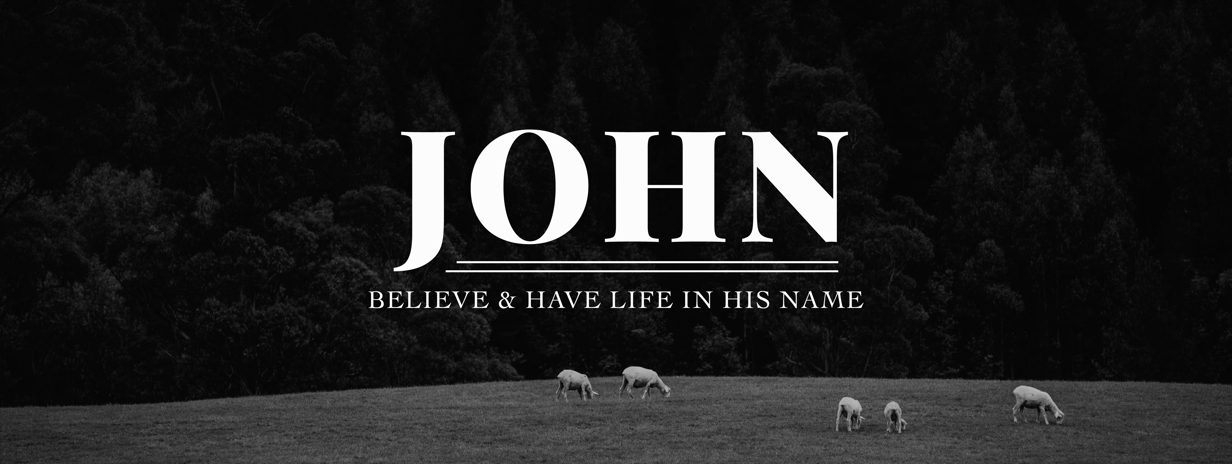 Gospel of John, sermon graphic, Maitland Evangelical Church, MEC, shepherd, Bible